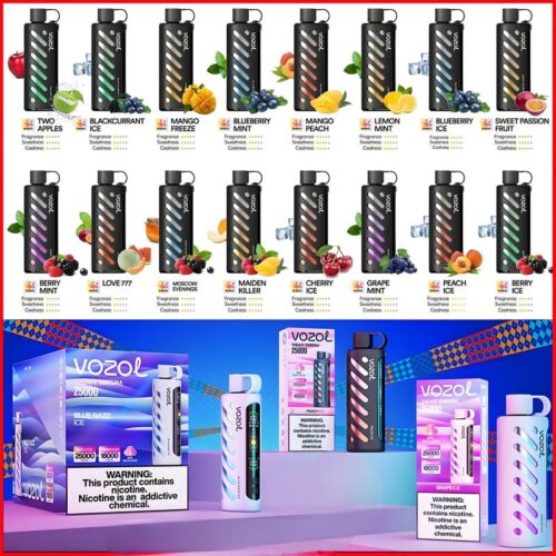 Vozol Gear Shisha 25K – 25,000 Puff Disposable Vape with 1000mAh Battery, 25mL E-liquid & Dual Mesh Coil