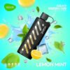 Vozol Gear Shisha 25K – 25,000 Puff Disposable Vape with 1000mAh Battery, 25mL E-liquid & Dual Mesh Coil