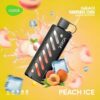 Vozol Gear Shisha 25K – 25,000 Puff Disposable Vape with 1000mAh Battery, 25mL E-liquid & Dual Mesh Coil