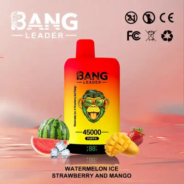 Bang Leader 45K Puffs – Dual Flavor 2-in-1 Disposable Vape with LED Screen | Up to 45,000 Hits