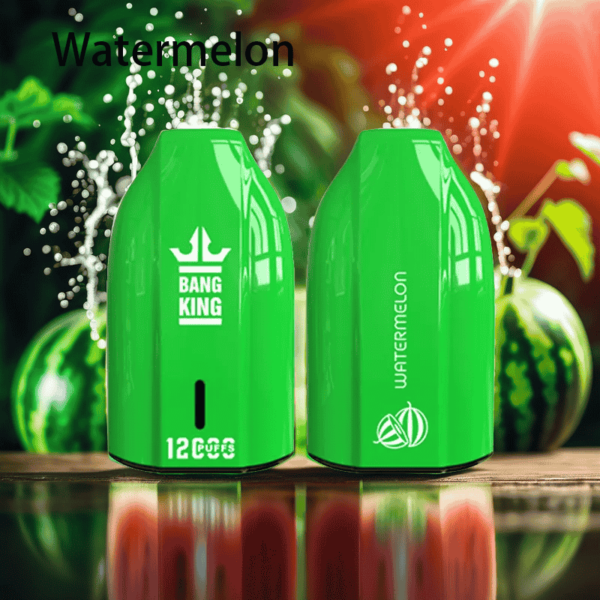 Bang King Porsche Edition 12000 Puffs – Rechargeable Vape with Type-C Port