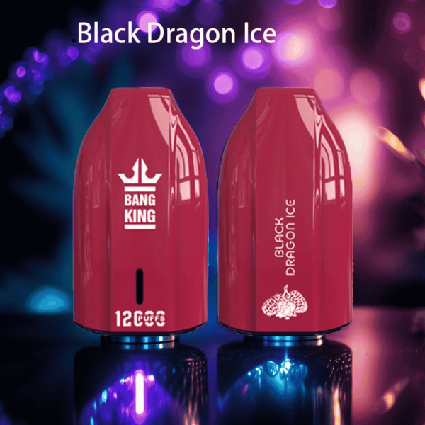 Bang King Porsche Edition 12000 Puffs – Rechargeable Vape with Type-C Port