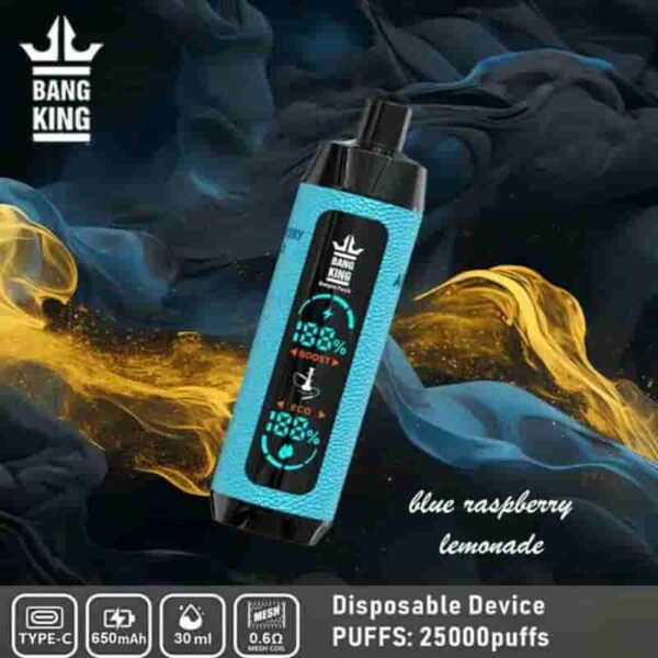 Bang King Shisha 25000 Puffs Vape – LED Display & Leather Design Disposable Pen