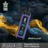 Bang King Shisha 25000 Puffs Vape – LED Display & Leather Design Disposable Pen