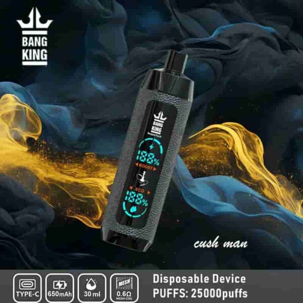 Bang King Shisha 25000 Puffs Vape – LED Display & Leather Design Disposable Pen
