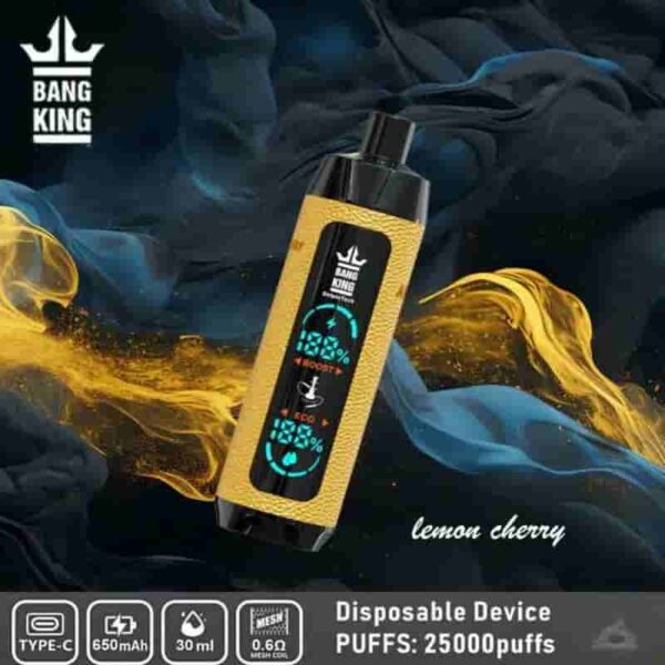 Bang King Shisha 25000 Puffs Vape – LED Display & Leather Design Disposable Pen