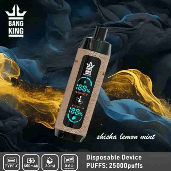 Bang King Shisha 25000 Puffs Vape – LED Display & Leather Design Disposable Pen
