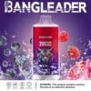 Bang Leader 20000 Puffs Disposable Vape – Dual Flavor, Smooth Hits, Long-Lasting Power