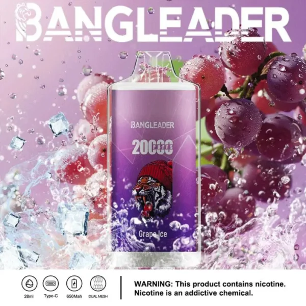 Bang Leader 20000 Puffs Disposable Vape – Dual Flavor, Smooth Hits, Long-Lasting Power