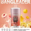 Bang Leader 20000 Puffs Disposable Vape – Dual Flavor, Smooth Hits, Long-Lasting Power