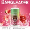 Bang Leader 20000 Puffs Disposable Vape – Dual Flavor, Smooth Hits, Long-Lasting Power