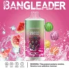 Bang Leader 20000 Puffs Disposable Vape – Dual Flavor, Smooth Hits, Long-Lasting Power