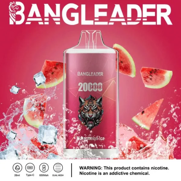 Bang Leader 20000 Puffs Disposable Vape – Dual Flavor, Smooth Hits, Long-Lasting Power