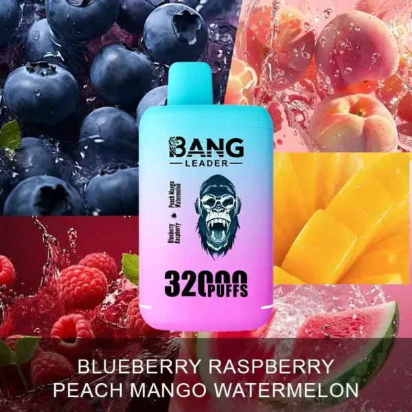 Bang Leader 32000 Puffs Disposable Vape – Dual Flavors, 0–5% Nicotine, Smooth Draws