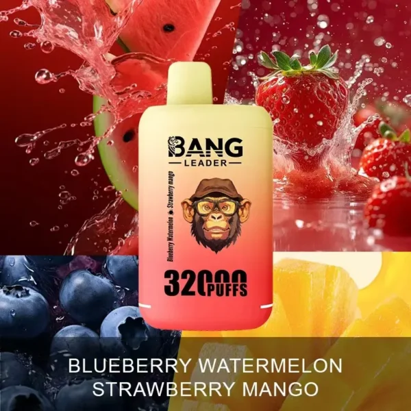 Bang Leader 32000 Puffs Disposable Vape – Dual Flavors, 0–5% Nicotine, Smooth Draws