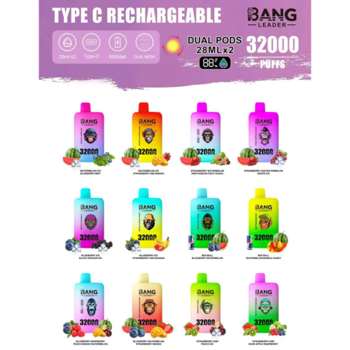 Bang Leader 32000 Puffs Disposable Vape – Dual Flavors, 0–5% Nicotine, Smooth Draws