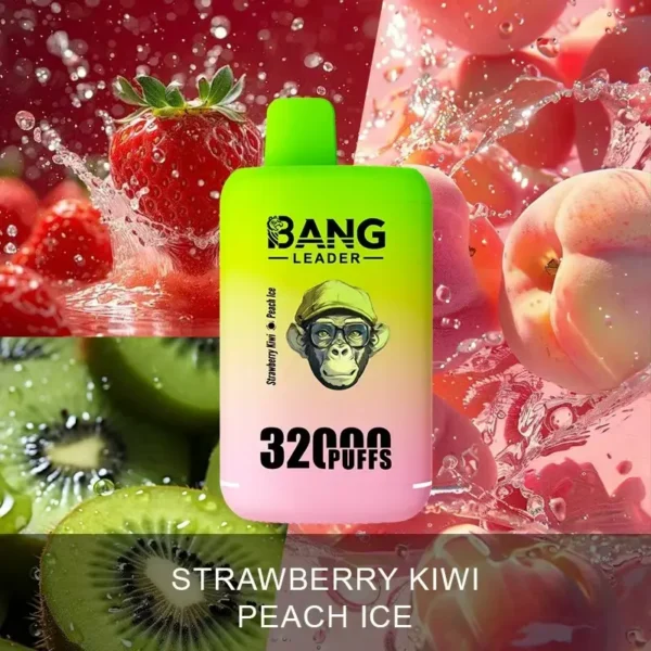 Bang Leader 32000 Puffs Disposable Vape – Dual Flavors, 0–5% Nicotine, Smooth Draws