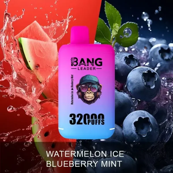 Bang Leader 32000 Puffs Disposable Vape – Dual Flavors, 0–5% Nicotine, Smooth Draws
