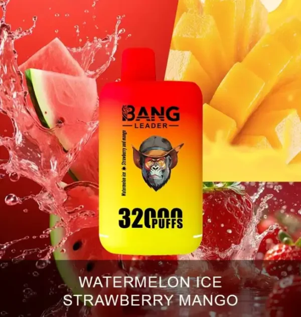 Bang Leader 32000 Puffs Disposable Vape – Dual Flavors, 0–5% Nicotine, Smooth Draws