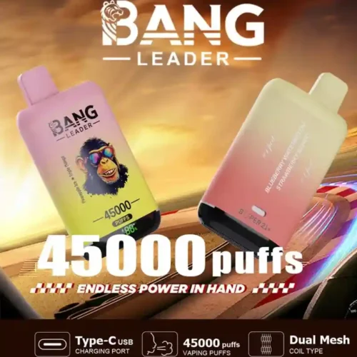Bang Leader 45K Puffs – Dual Flavor 2-in-1 Disposable Vape with LED Screen | Up to 45,000 Hits
