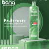 Bang SHISHA 15000 Puffs Direct to Lung Disposable Vape – High-Capacity E-Cigarette Pen