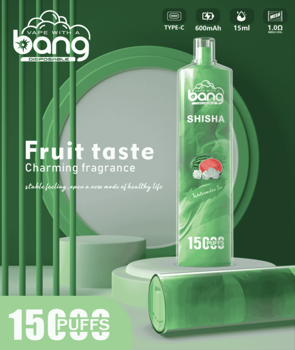 Bang SHISHA 15000 Puffs Direct to Lung Disposable Vape – High-Capacity E-Cigarette Pen