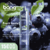Bang SHISHA 15000 Puffs Direct to Lung Disposable Vape – High-Capacity E-Cigarette Pen