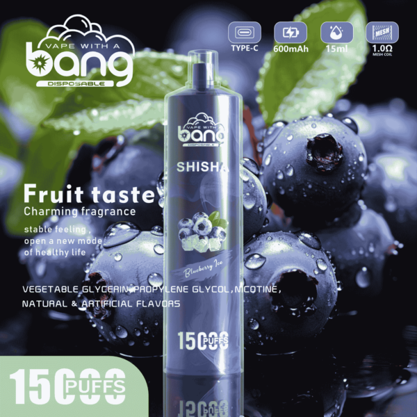 Bang SHISHA 15000 Puffs Direct to Lung Disposable Vape – High-Capacity E-Cigarette Pen