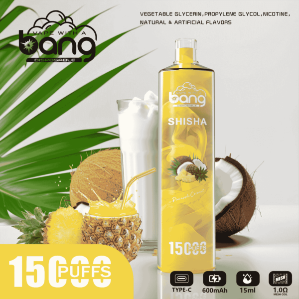 Bang SHISHA 15000 Puffs Direct to Lung Disposable Vape – High-Capacity E-Cigarette Pen