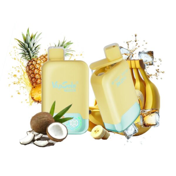 VapSolo Twins 20000 Puffs Disposable Vape – Dual Flavor, 25mL E-liquid, Rechargeable Battery, Mesh Coil, Adjustable Airflow