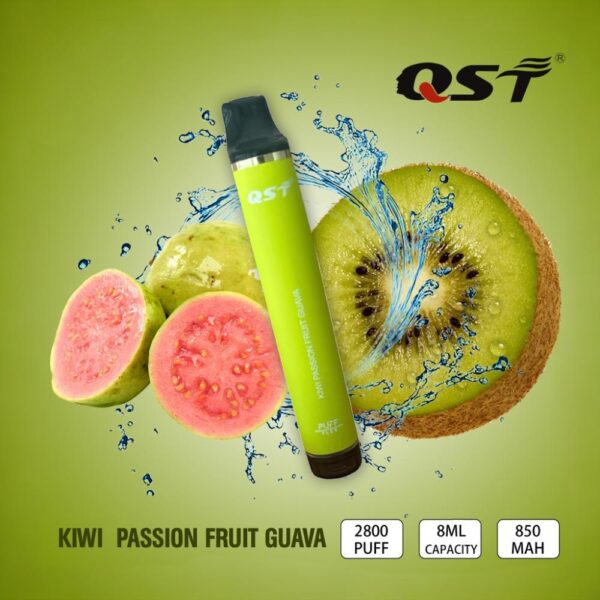 QST 2800 Puffs Vape Pen – Affordable, Flavorful, Disposable & Hassle-Free