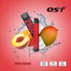 QST 2800 Puffs Vape Pen – Affordable, Flavorful, Disposable & Hassle-Free