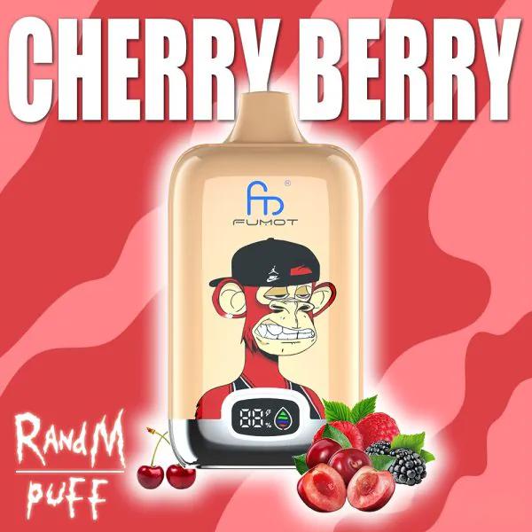 RandM Digital Box 12000 Puffs Disposable Vape – LED Display, Best-Selling Design