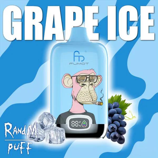 RandM Digital Box 12000 Puffs Disposable Vape – LED Display, Best-Selling Design