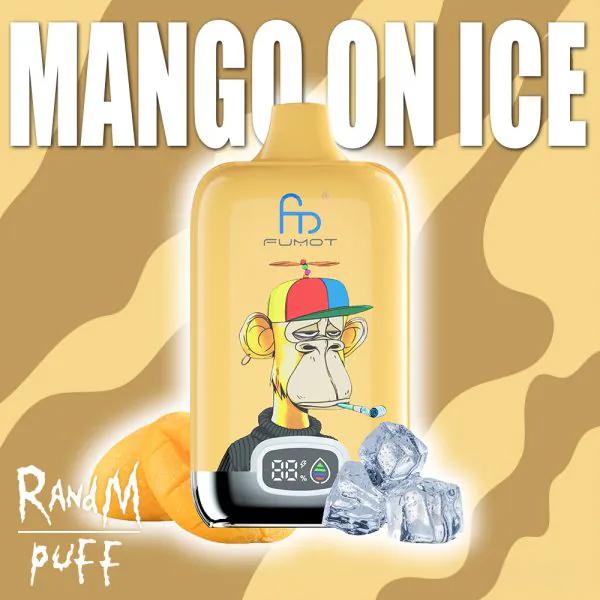 RandM Digital Box 12000 Puffs Disposable Vape – LED Display, Best-Selling Design