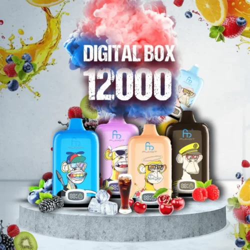 RandM Digital Box 12000 Puffs Disposable Vape – LED Display, Best-Selling Design