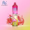 RandM Tornado 15000 Puffs – Stylish LED Vape, Big Capacity, Disposable & Rechargeable