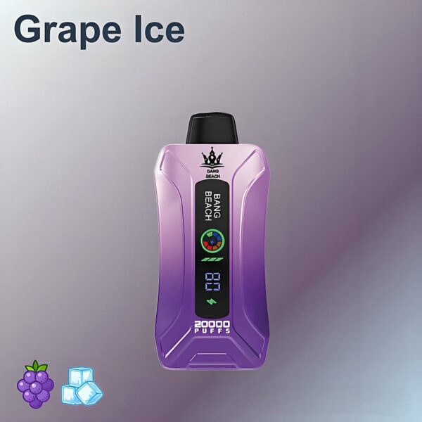 Bang Beach 20000 Puffs Disposable Vape LED Display 0 to 5 Percent Nicotine 20K Puff Electronic Cigarette Pod