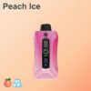 Bang Beach 20000 Puffs Disposable Vape LED Display 0 to 5 Percent Nicotine 20K Puff Electronic Cigarette Pod