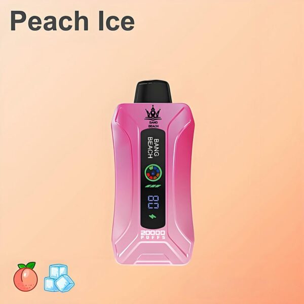 Bang Beach 20000 Puffs Disposable Vape LED Display 0 to 5 Percent Nicotine 20K Puff Electronic Cigarette Pod