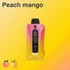 Bang Beach 20000 Puffs Disposable Vape LED Display 0 to 5 Percent Nicotine 20K Puff Electronic Cigarette Pod