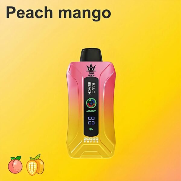 Bang Beach 20000 Puffs Disposable Vape LED Display 0 to 5 Percent Nicotine 20K Puff Electronic Cigarette Pod