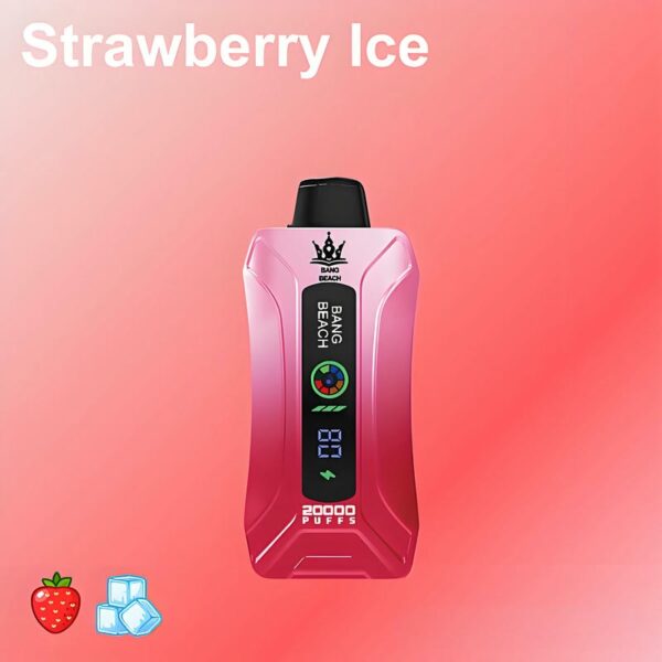 Bang Beach 20000 Puffs Disposable Vape LED Display 0 to 5 Percent Nicotine 20K Puff Electronic Cigarette Pod