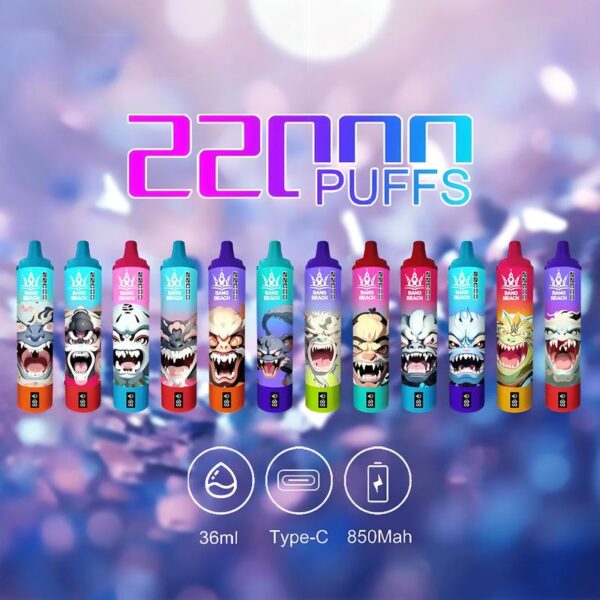 Bang Beach 22000 Puffs Disposable Vape – Big Clouds, Fresh Flavors, All-Day Performance