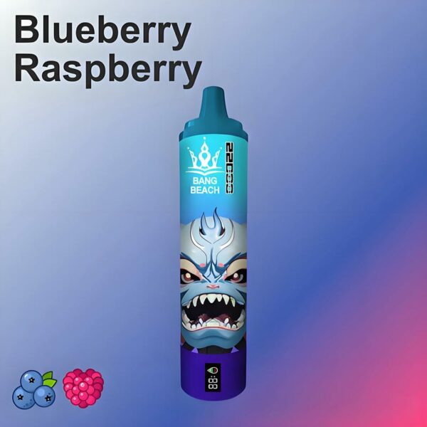 Bang Beach 22000 Puffs Disposable Vape – Big Clouds, Fresh Flavors, All-Day Performance
