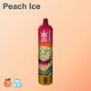 Bang Beach 22000 Puffs Disposable Vape – Big Clouds, Fresh Flavors, All-Day Performance