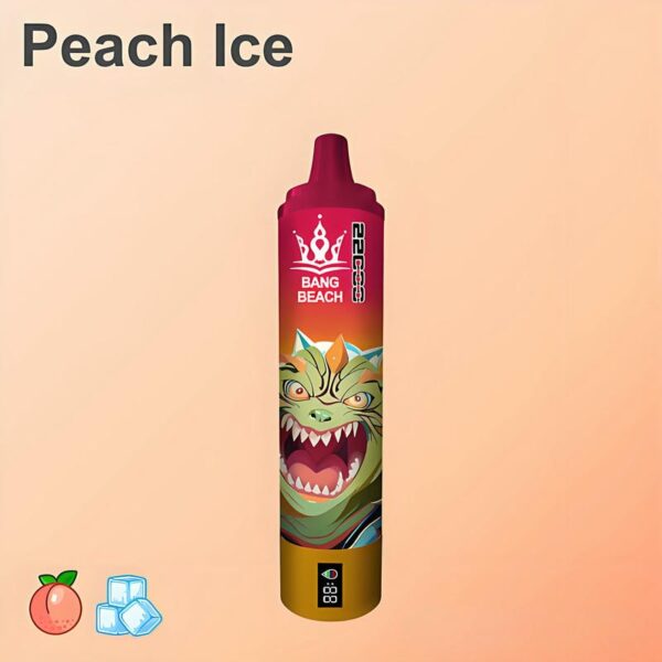 Bang Beach 22000 Puffs Disposable Vape – Big Clouds, Fresh Flavors, All-Day Performance