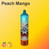 Bang Beach 22000 Puffs Disposable Vape – Big Clouds, Fresh Flavors, All-Day Performance