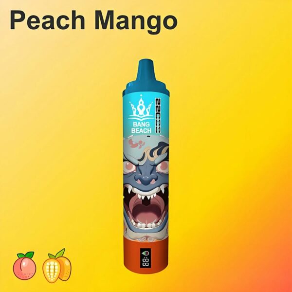 Bang Beach 22000 Puffs Disposable Vape – Big Clouds, Fresh Flavors, All-Day Performance
