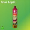 Bang Beach 22000 Puffs Disposable Vape – Big Clouds, Fresh Flavors, All-Day Performance
